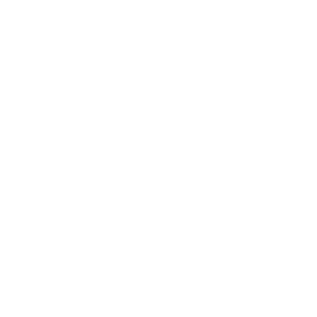 Aguirre-Manzano Foundation logo