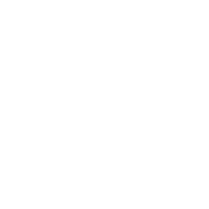 Aguirre-Manzano Foundation logo